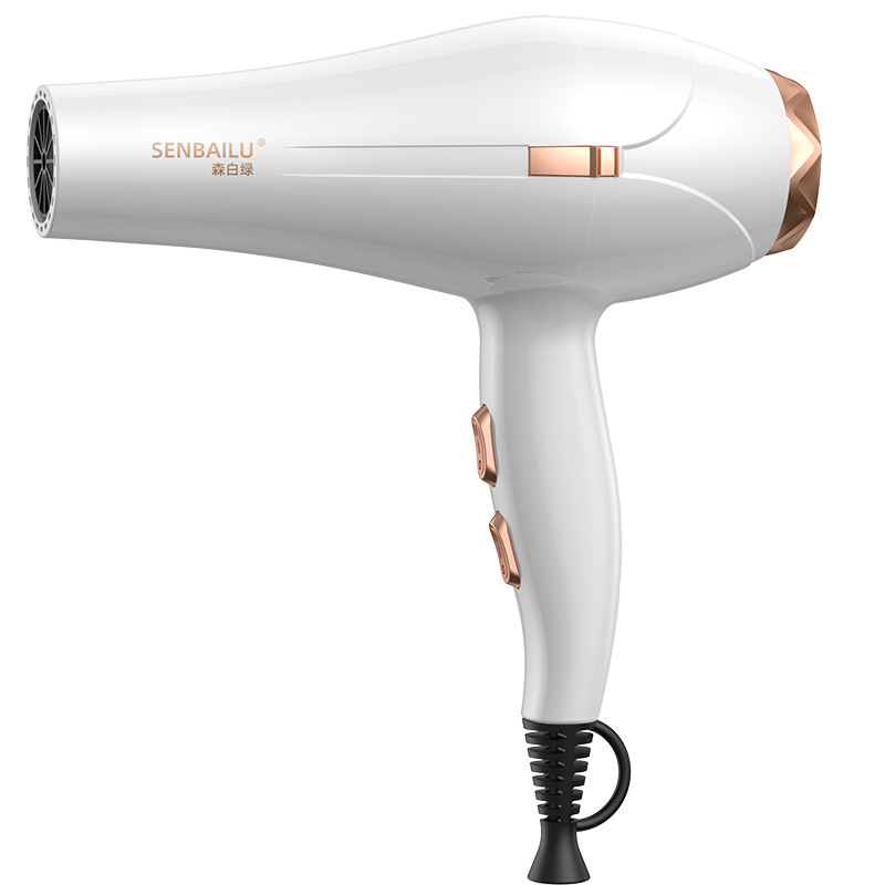 Secador de Pelo de Secado Rápi - Cold Air Diffuser Nebulizer reseña y precio