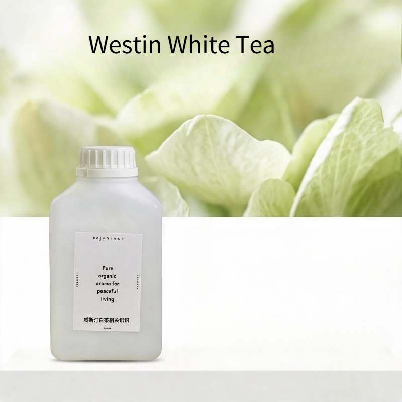 Aceite Esencial de 500 ml para - Essential Oil Diffuser 500Ml reseña y precio