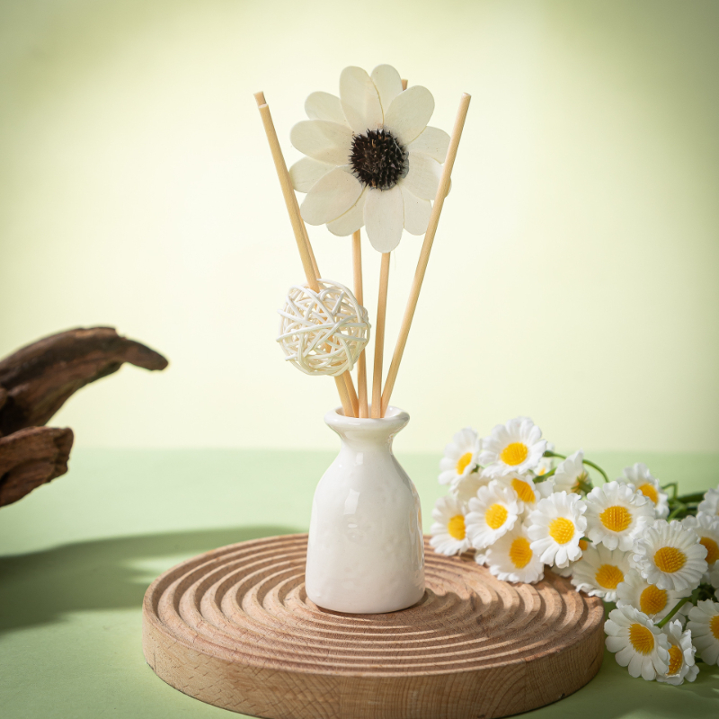 Juego de Difusores de Aromas d - Diffuser Reed Sticks Set reseña y precio
